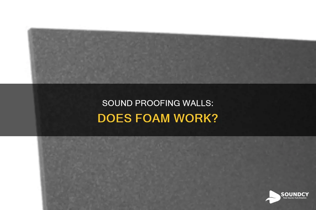 does wall sound proof foam exist