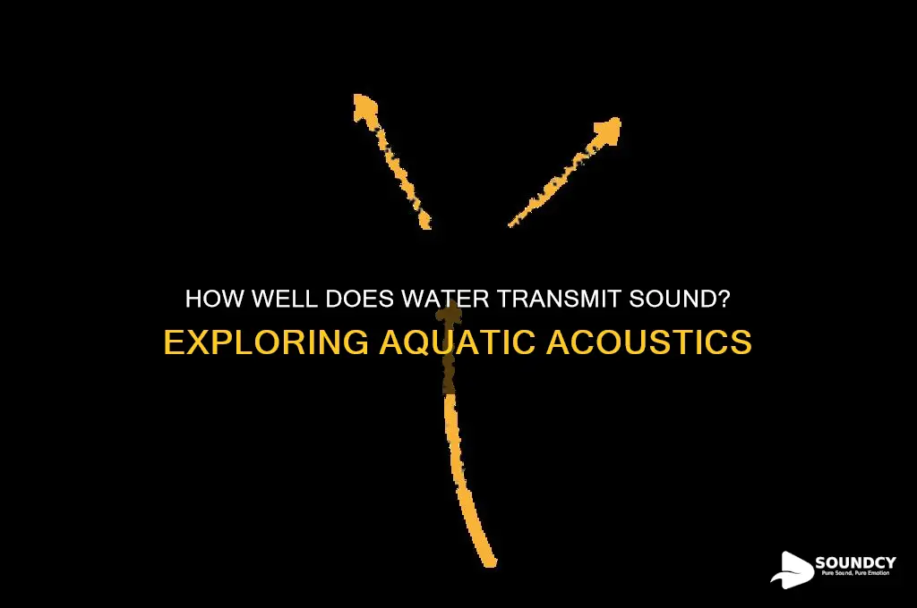 does water tranmit sound well