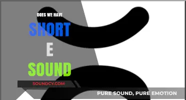 The Tricky "Short E" Sound in English