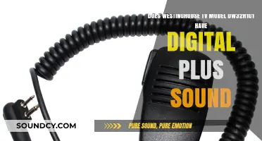 Westinghouse DW32H1G1 TV: Digital Plus Sound Feature Explained