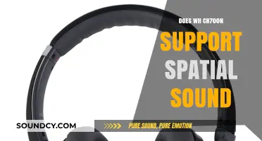 Explore Spatial Sound with the WH-CH700N
