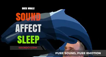 Whale Sounds and Sleep: Exploring the Impact on Rest and Relaxation
