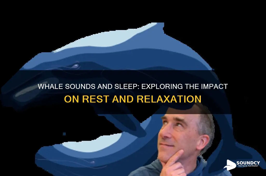 does whale sound affect sleep