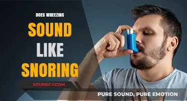 Wheezing vs. Snoring: Understanding the Difference in Breathing Sounds