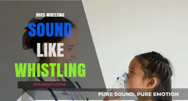 Does Wheezing Sound Like Whistling? Understanding Respiratory Noises