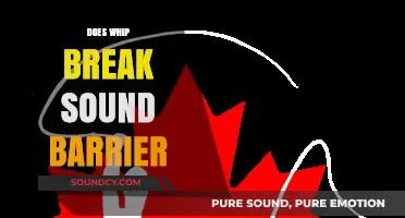 Can a Whip Crack Break the Sound Barrier? Exploring the Science