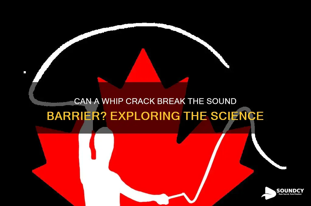 does whip break sound barrier