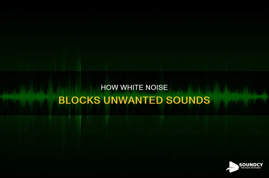does white noise block out sound
