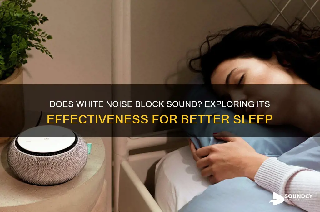 does white noise block sound