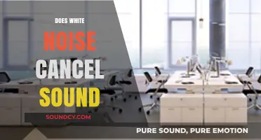 Does White Noise Cancel Sound? Exploring Its Effectiveness and Limitations