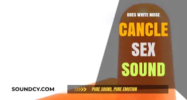 White Noise: Can It Muffle Sex Sounds?