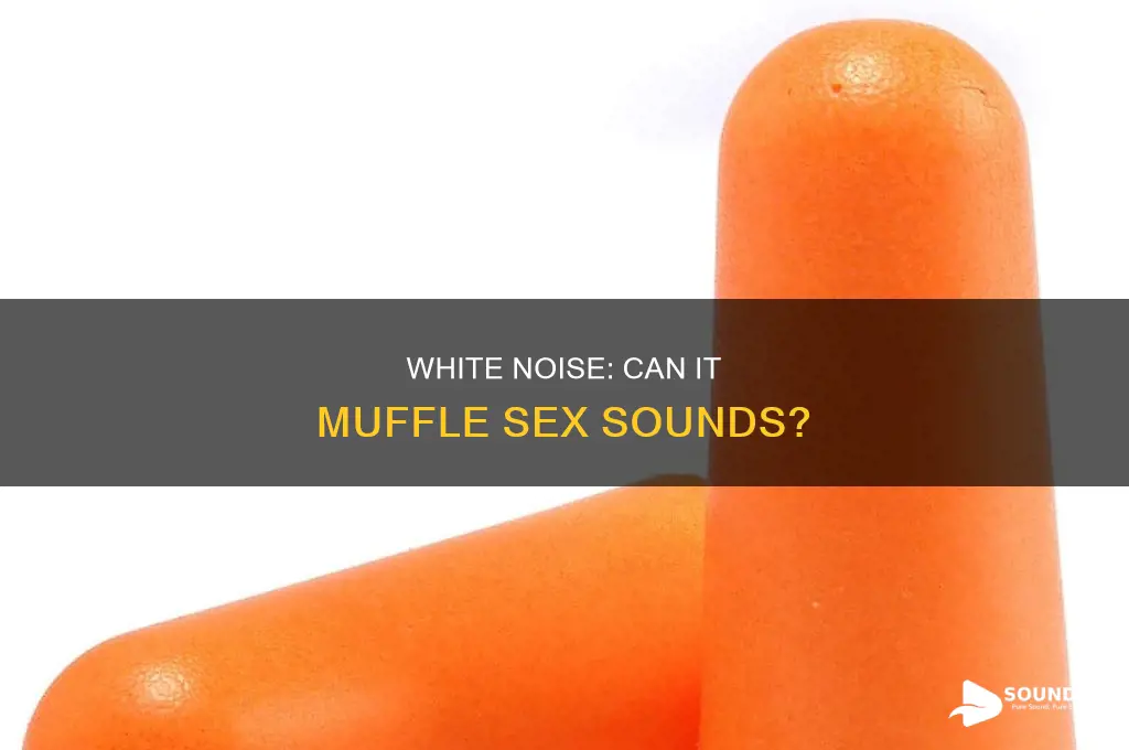 does white noise cancle sex sound