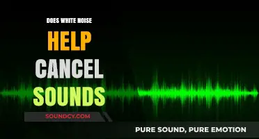 White Noise: Sound Cancelling Superpower?