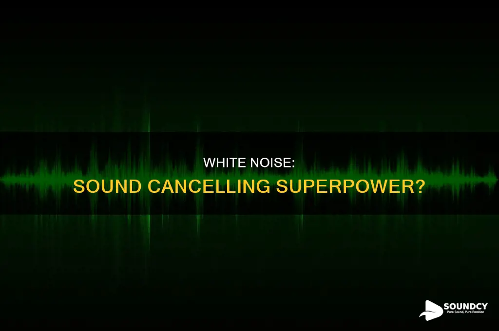 does white noise help cancel sounds