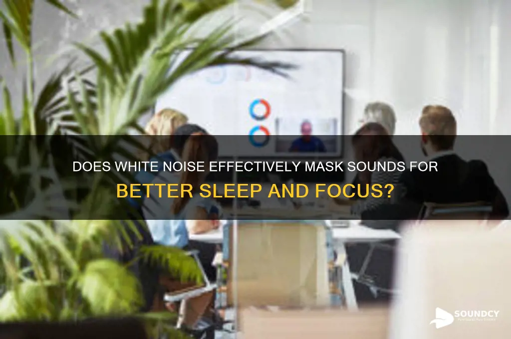 does white noise mask sounds