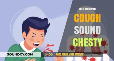 Does Whooping Cough Sound Chesty? Understanding Symptoms and Sounds