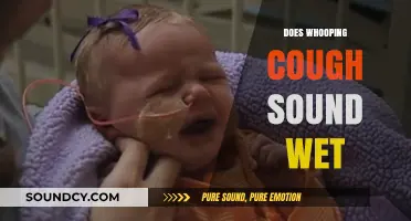 Does Whooping Cough Sound Wet? Understanding the Distinctive Symptoms