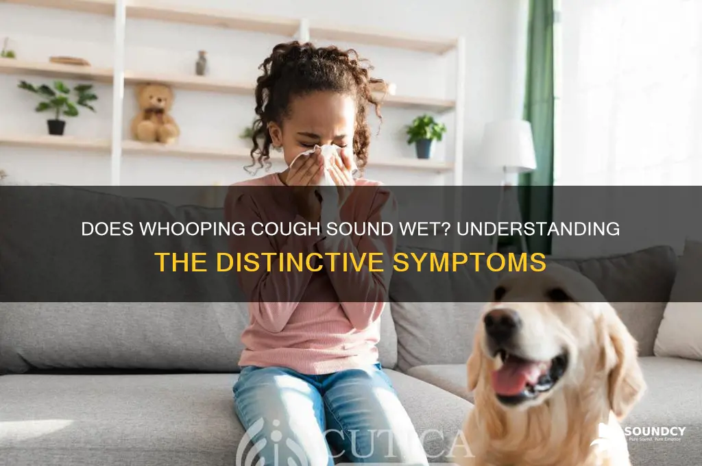does whooping cough sound wet