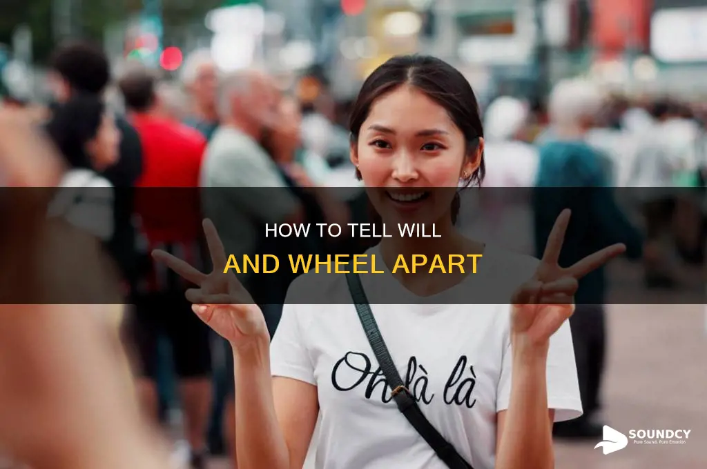 does will and wheel sound alike