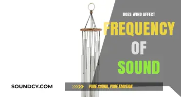 How Wind Changes Sound Frequency