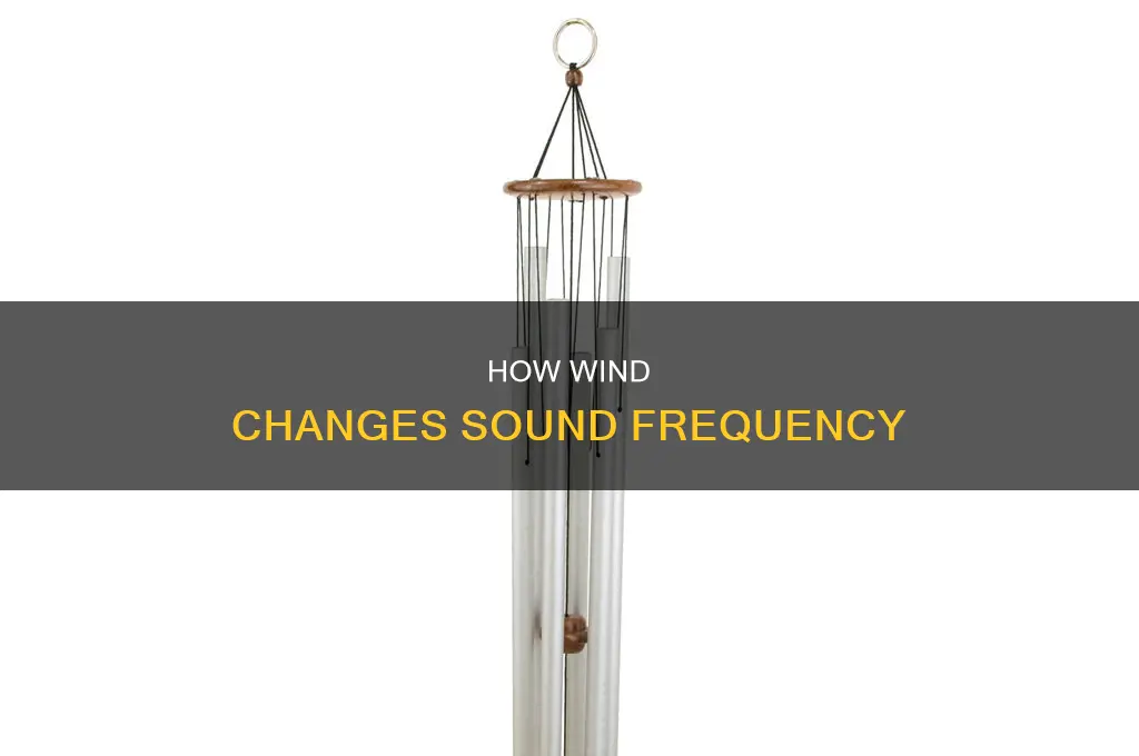 does wind affect frequency of sound