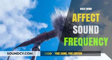 How Wind Influences Sound Frequency: Exploring the Acoustic Impact