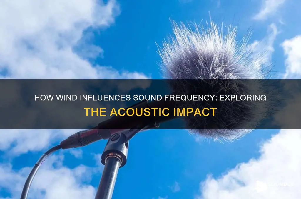 does wind affect sound frequency