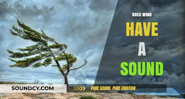 Does Wind Have a Sound? Exploring Nature's Whispers and Roars