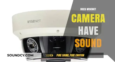 Does Wisenet Camera Have Sound? Exploring Audio Features and Capabilities