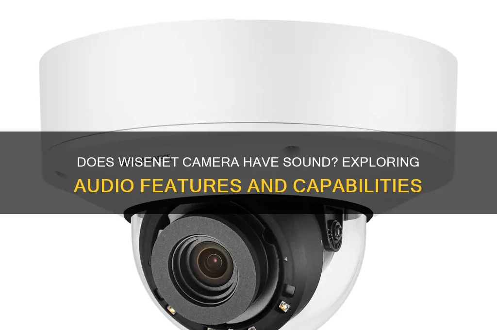 does wisenet camera have sound