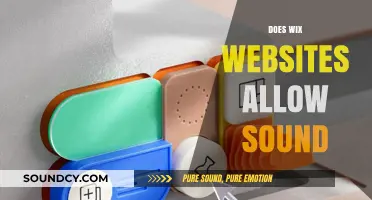 Can You Add Sound to Wix Websites? A Comprehensive Guide