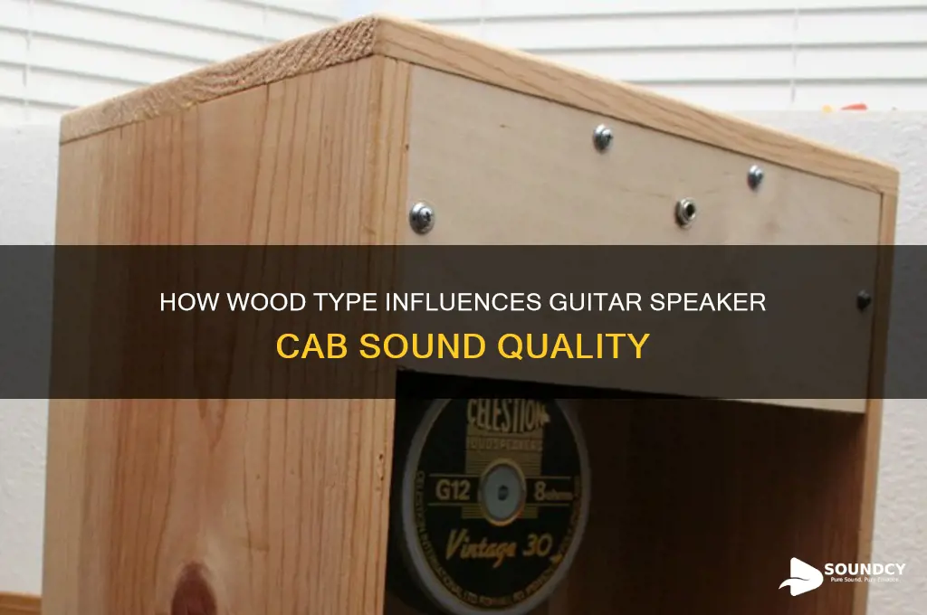 does wood affect the sound of guitar speaker cab