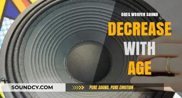 How Age Impacts Woofers and Sound Quality