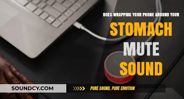 Does Wrapping Your Phone Around Your Stomach Mute Sound?