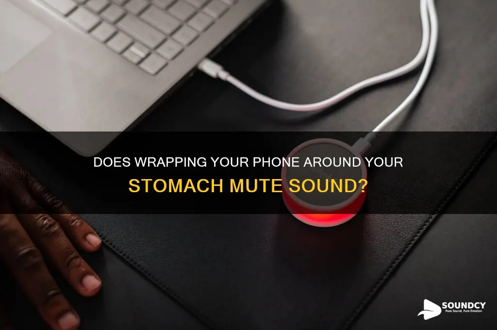 does wrapping your phone around your stomach mute sound