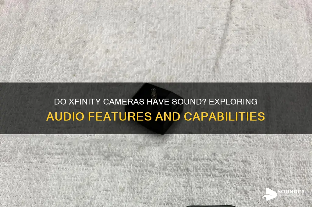 does xfinity cameras have sound