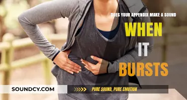 Does Your Appendix Make a Sound When It Bursts? Unraveling the Myth