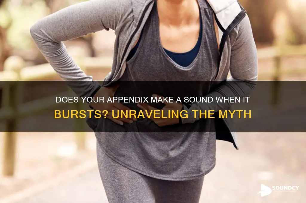 does your appendix make a sound when it bursts