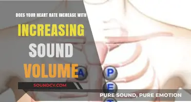How Loud Sounds Impact Your Heart Rate: Exploring the Volume-Pulse Connection