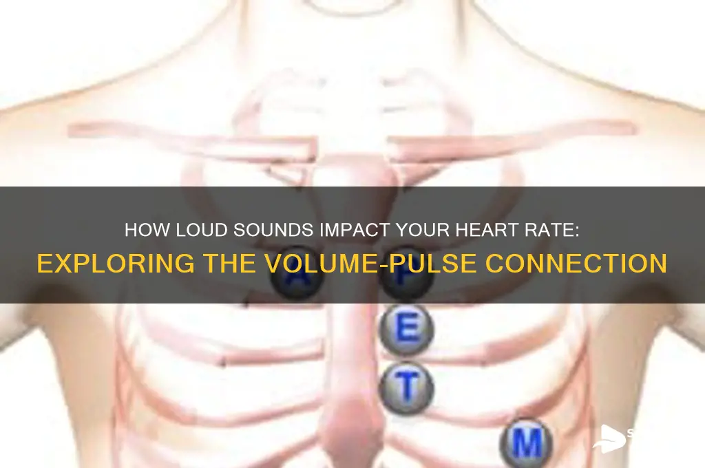 does your heart rate increase with increasing sound volume