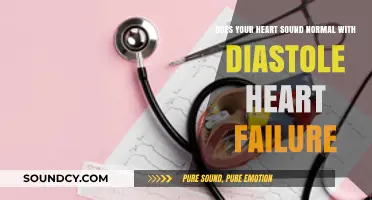 Understanding Diastolic Heart Failure: Is Your Heart's Rhythm Normal?