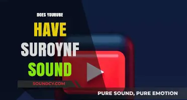 Does YouTube Offer Surround Sound? Exploring Audio Features for Enhanced Viewing