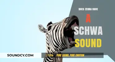 How Do Zebras Say Schwa?