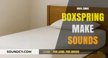 Does Your Zinus Box Spring Squeak? A Comprehensive Noise Analysis