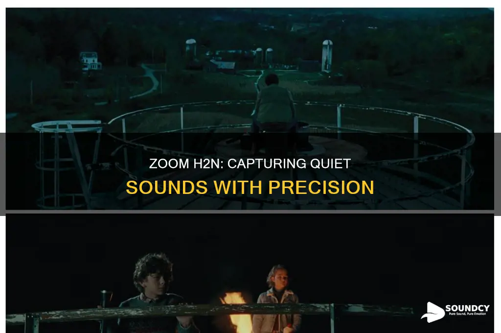 does zoom h2n pickup quiet sounds