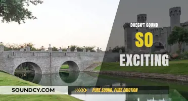 Unveiling the Hidden Thrill in What Doesn't Sound So Exciting