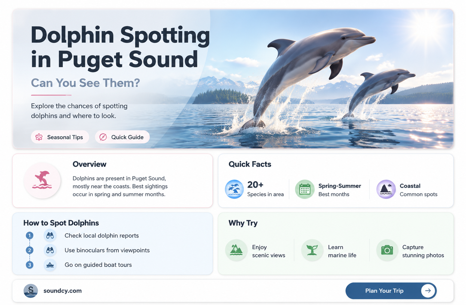 are there dolphins in puget sound