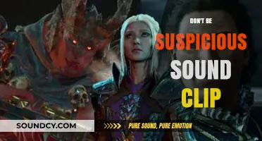 Suspicious Sounds: Why You Should Be Wary