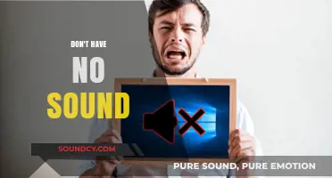 Troubleshooting Silent Devices: Quick Fixes for 'No Sound' Issues