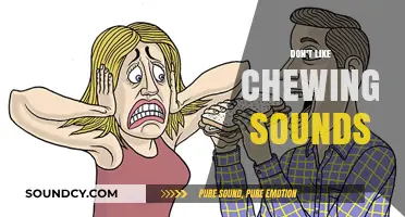 Silence the Crunch: Coping with Misophonia and Chewing Sounds